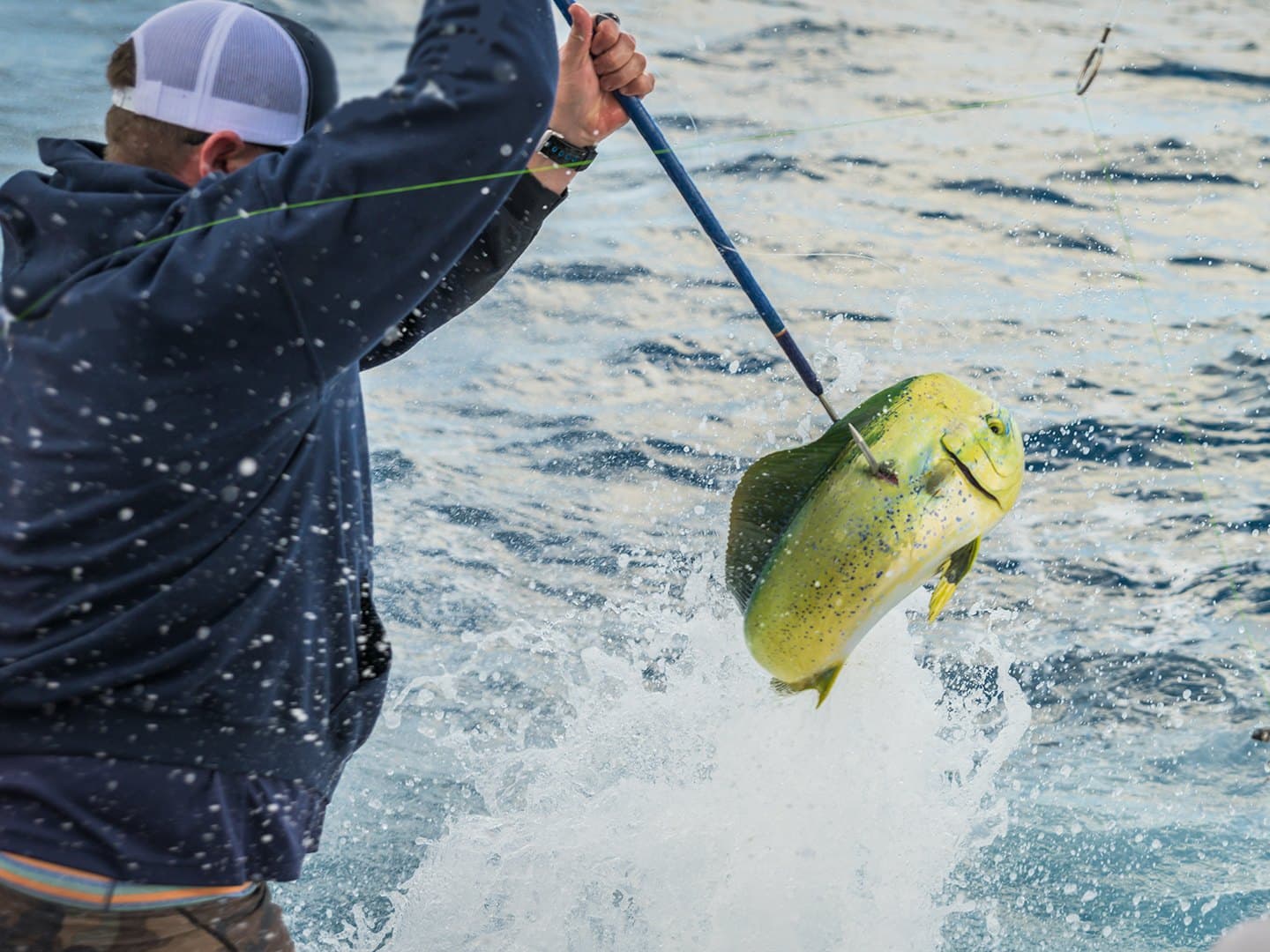 A mate swings a gaffed mahi-mahi over the side of the boat in a burst of spray.