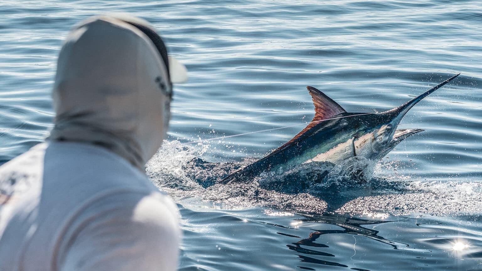 Can you eat marlin? What you need to know before trying