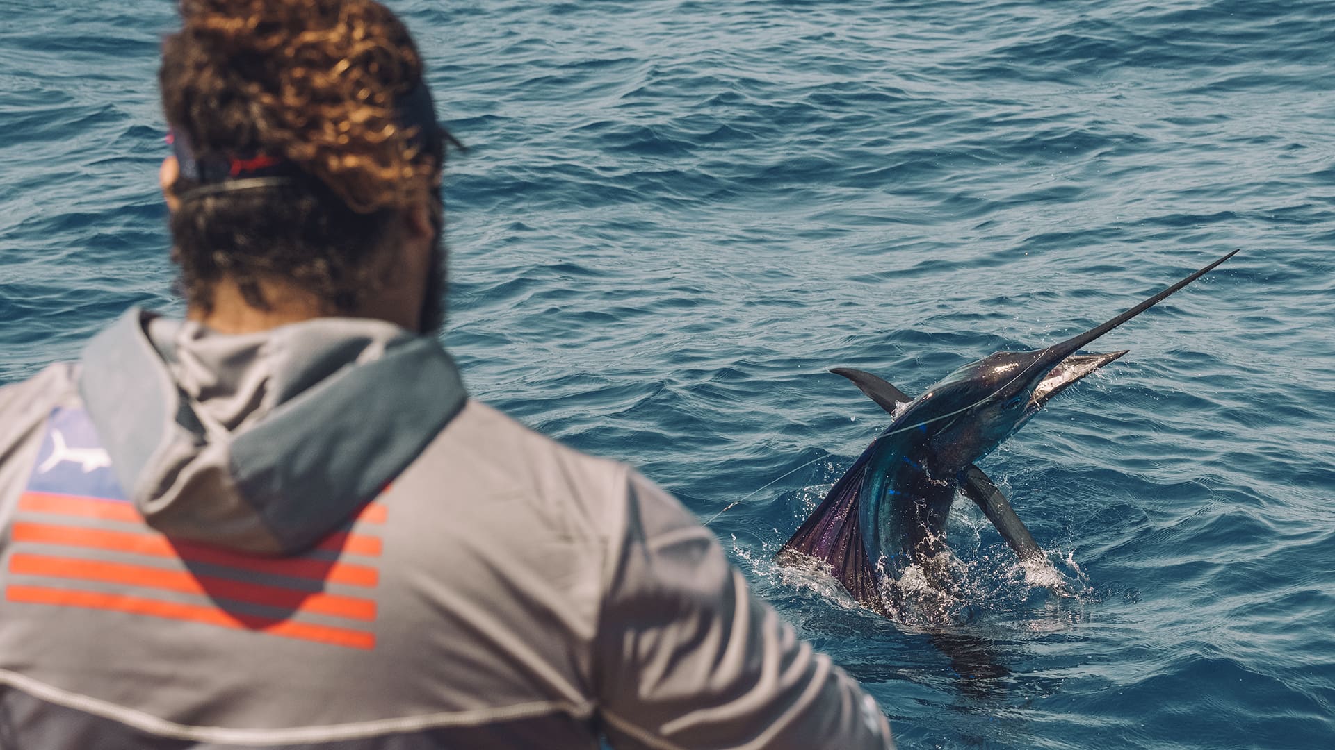 Can You Eat Sailfish