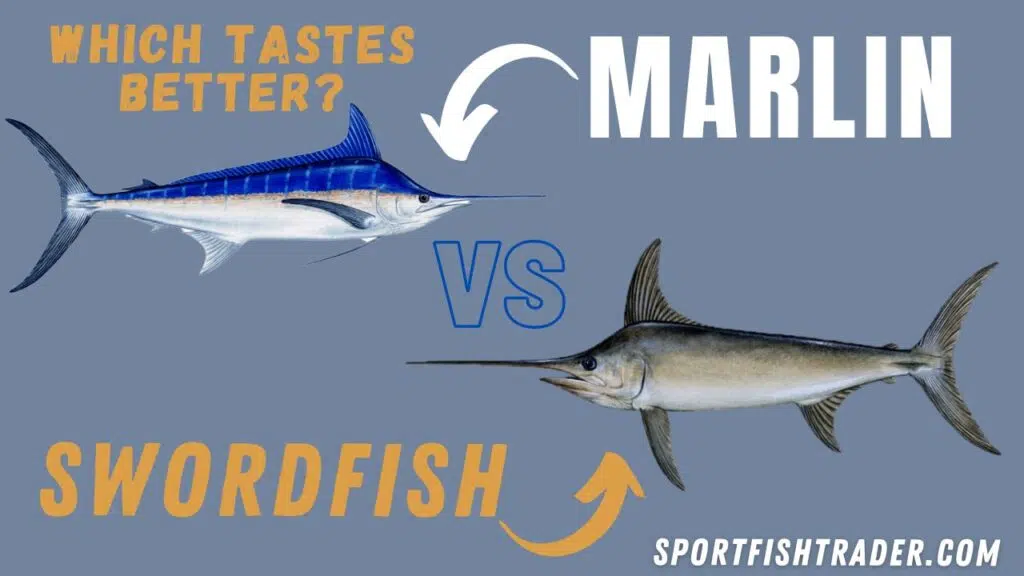 What Tastes Better Marlin Or Swordfish?