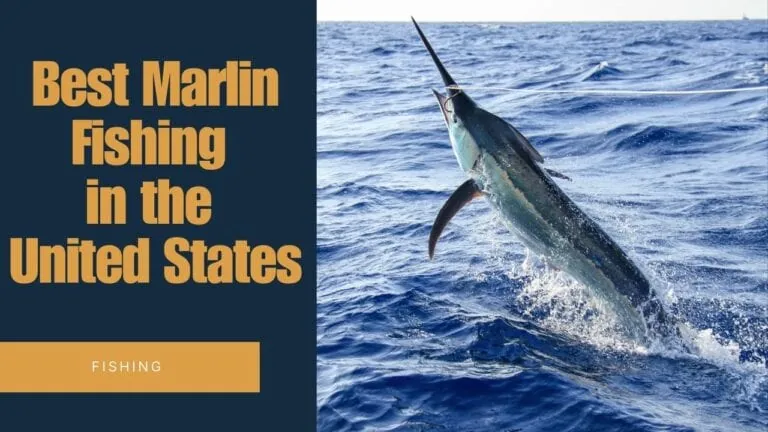 Best Marlin Fishing in the United States