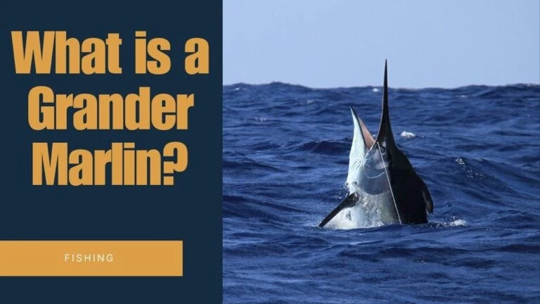what is a grander marlin