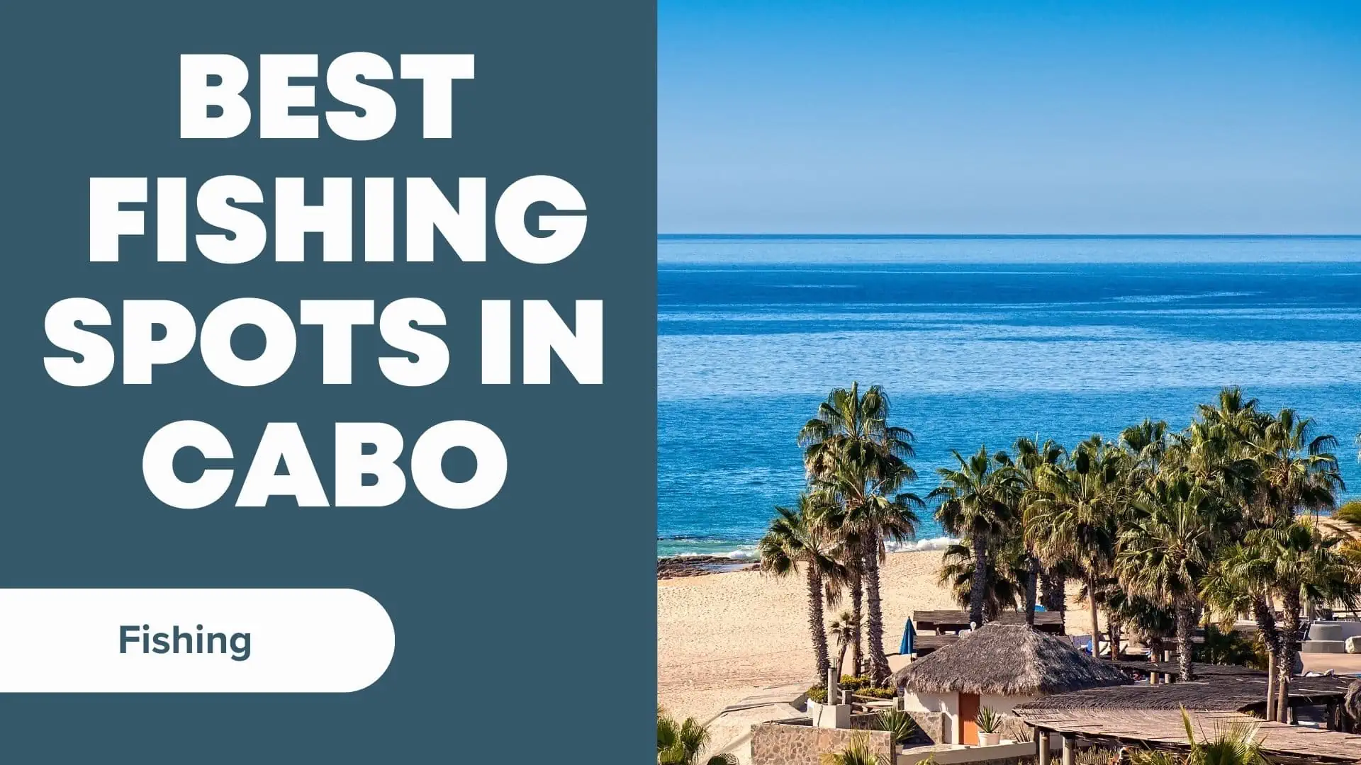 Fishing In Cabo San Lucas- A Complete Guide