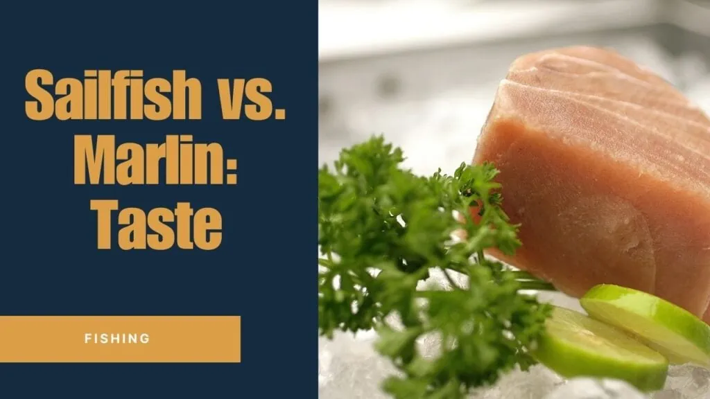 Sailfish vs Marlin Taste