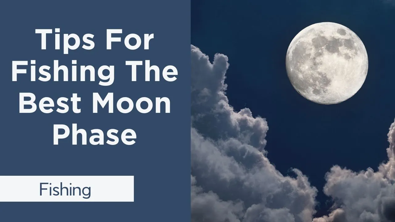 best-moon-phase-for-tuna-fishing