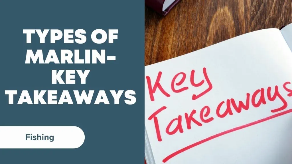Types of marlin key takeaways