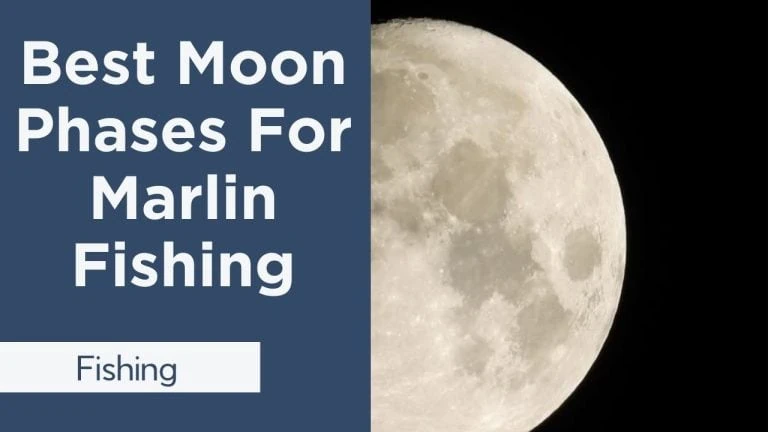 best moon phases for marlin fishing