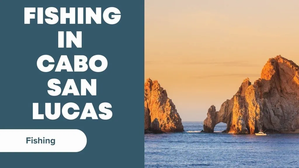 Fishing In Cabo San Lucas- A Complete Guide