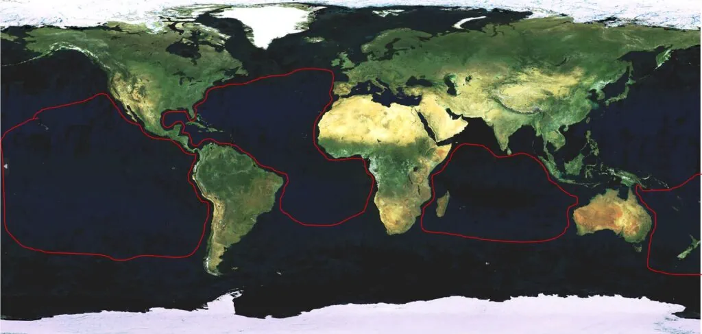 marlin and swordfish habitat