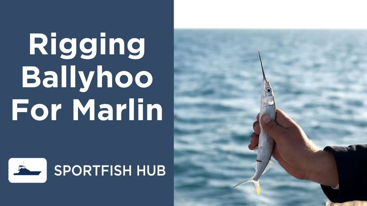 rigging ballyhoo for marlin