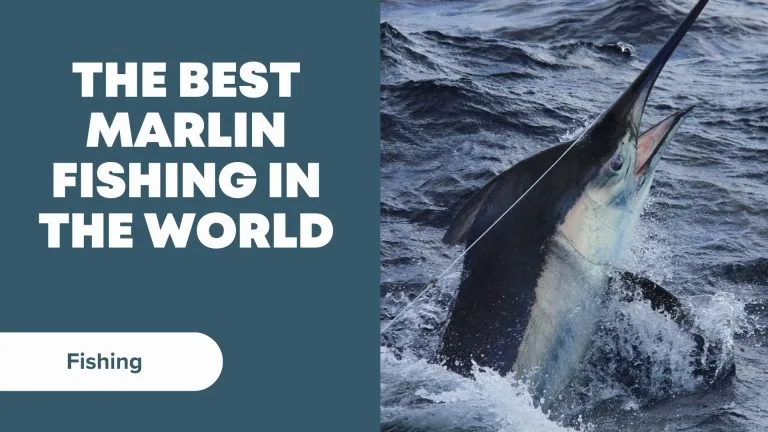 the best marlin fishing in the world