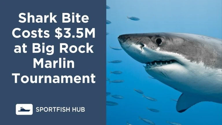 IGFA Rule on Shark Bite Sparks $3.5M Controversy at Big Rock