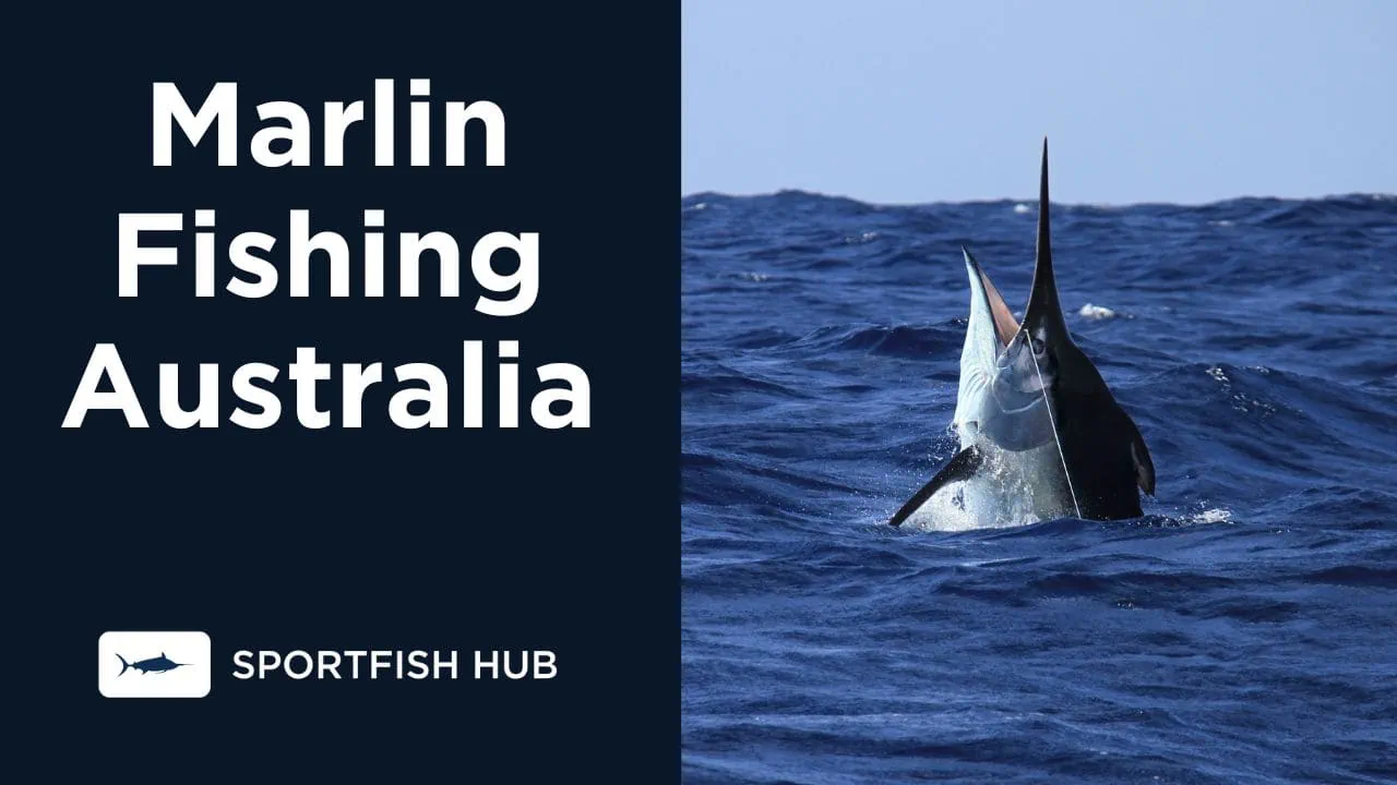 Marlin Fishing Australia