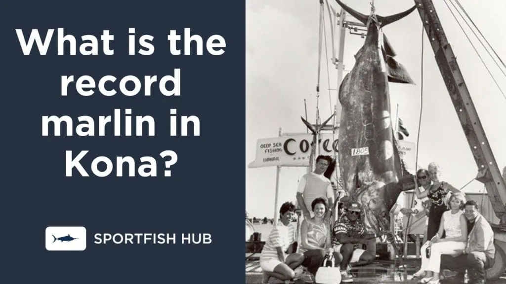 What is the record marlin in Kona