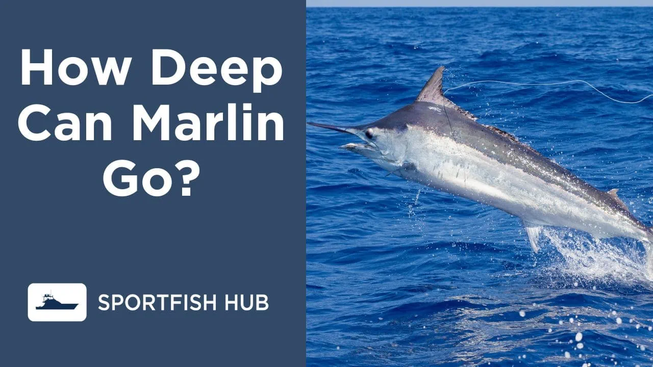 how dep can marlin go