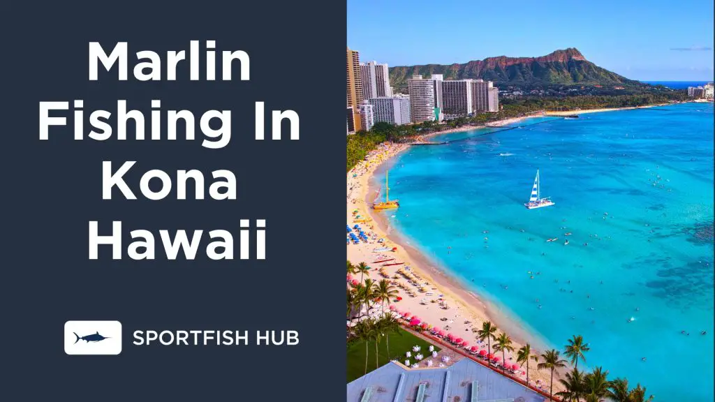 Marlin Fishing In Kona Hawaii