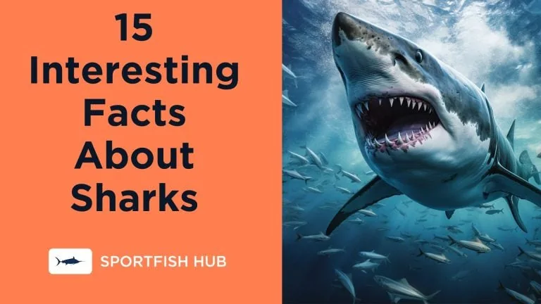 15 Facts About Sharks That Will Blow Your Mind