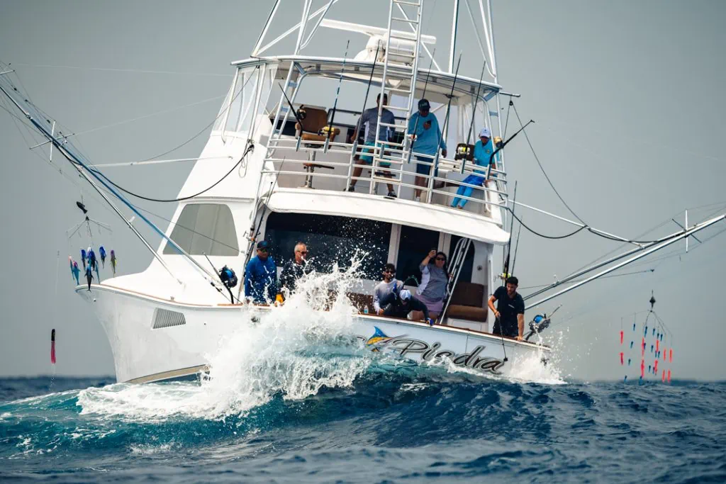 Blue Marlin fishing in Puerto Rico