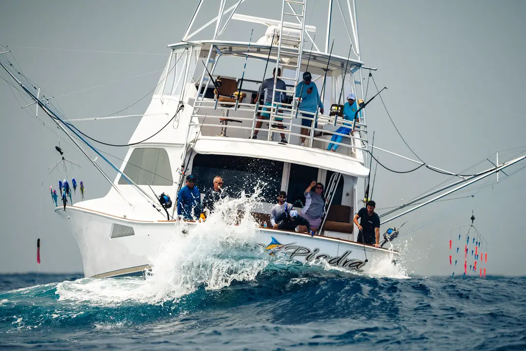Blue Marlin Fishing in Puerto Rico