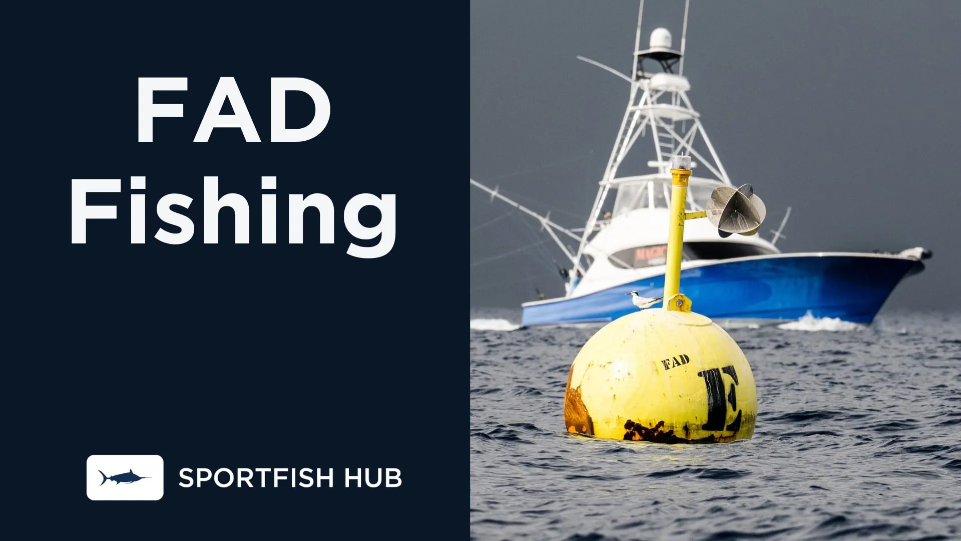 Marlin Fishing in the Dominican Republic