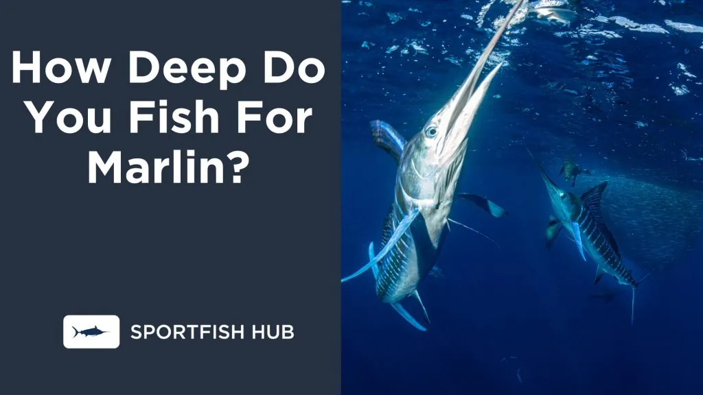 How Deep Do You Fish For Marlin