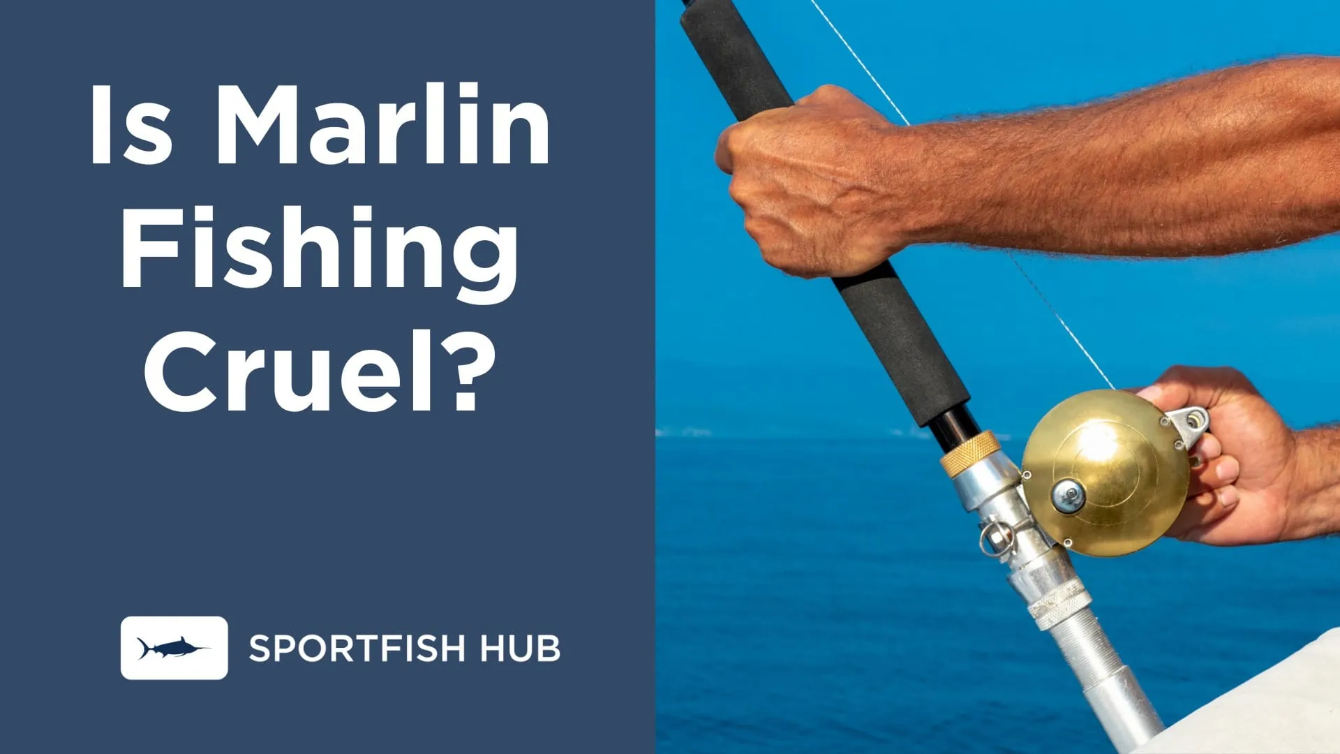 Is Marlin Fishing Cruel?