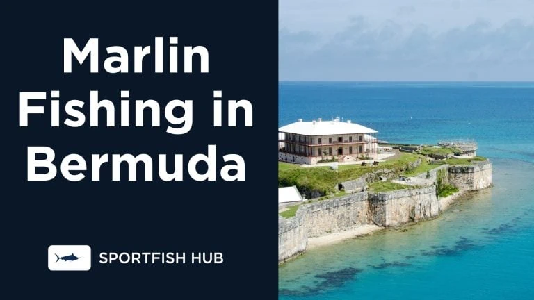 Marlin Fishing in Bermuda
