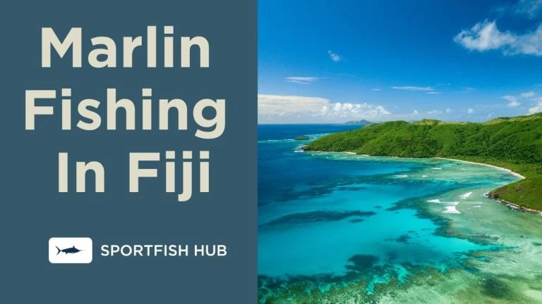 Marlin Fishing in Fiji