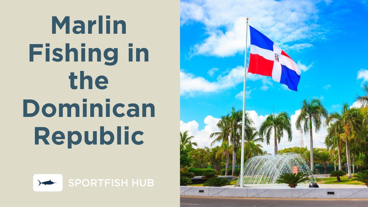 Marlin Fishing in the Dominican Republic