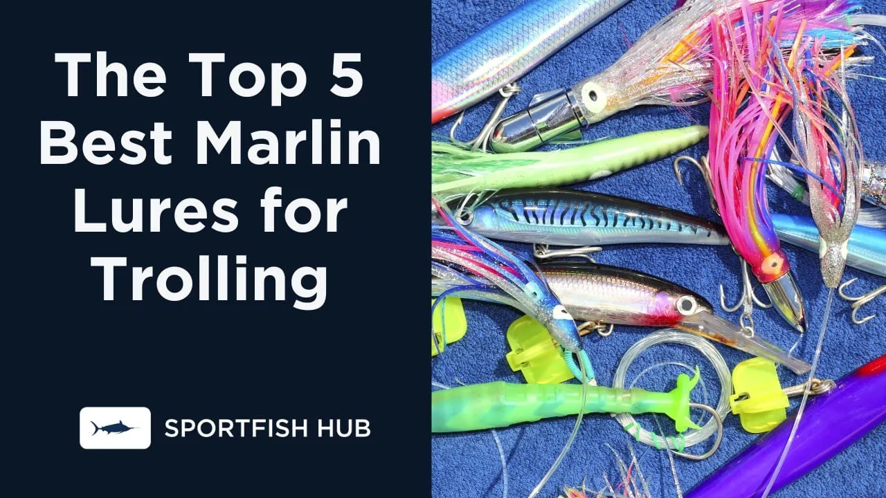 The Top 5 Best Marlin Lures for Trolling