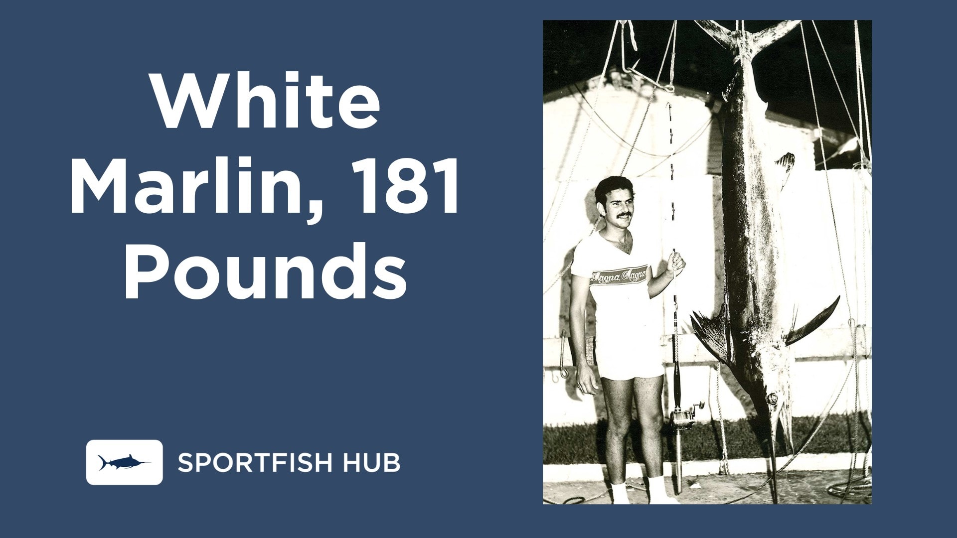 The Largest Marlin Ever Caught