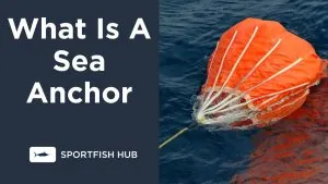 what is a sea anchor
