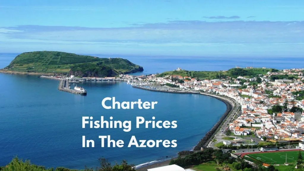 Charter Fishing Prices In The Azores
