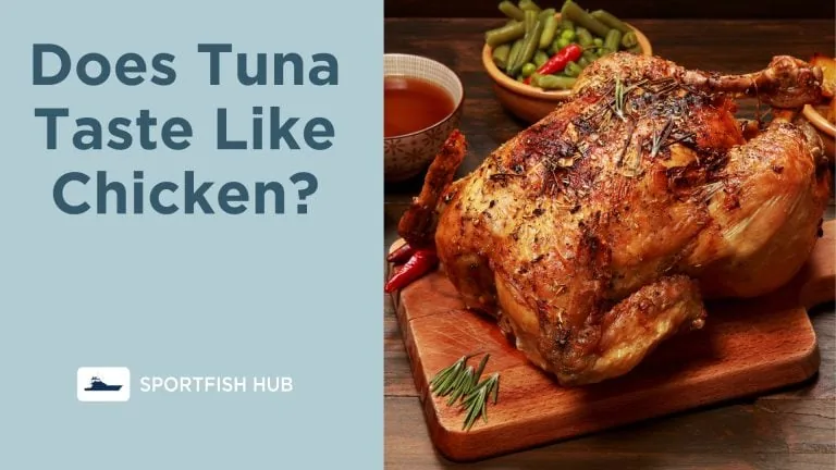 Does Tuna Taste Like Chicken