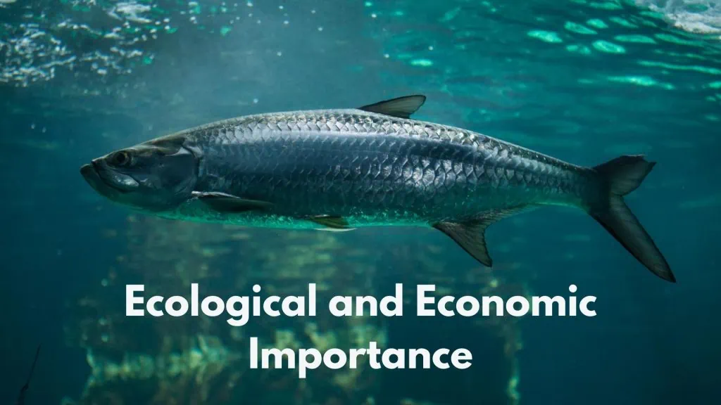 Ecological and Economic Importance