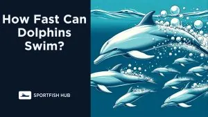 How Fast Can Dolphins Swim?