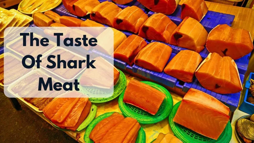 The taste of shark meat