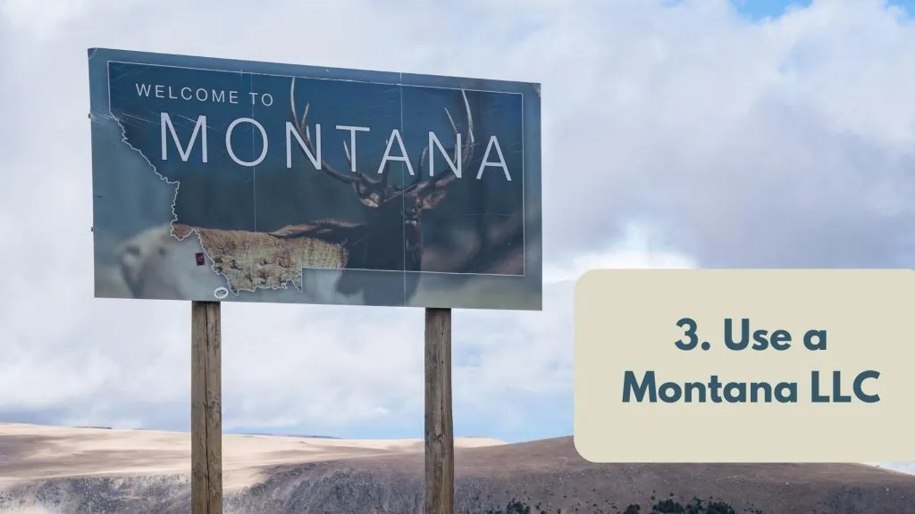 Use a Montana LLC
