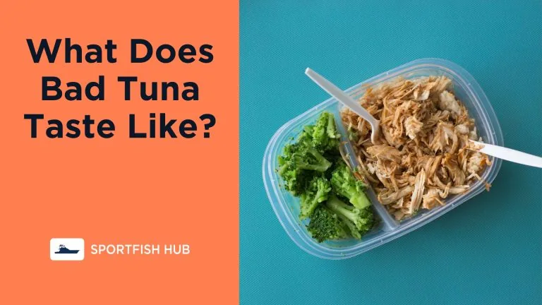 What Does Bad Tuna Taste Like