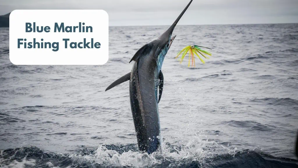 Blue Marlin Fishing Tackle