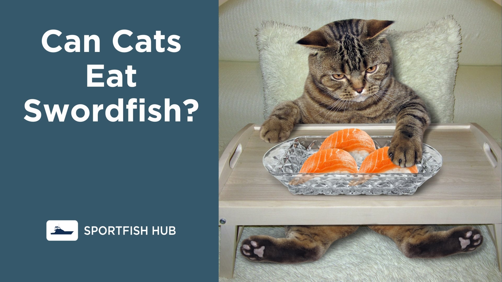 Can Cats Eat Swordfish