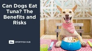 Can Dogs Eat Tuna The Benefits and Risks