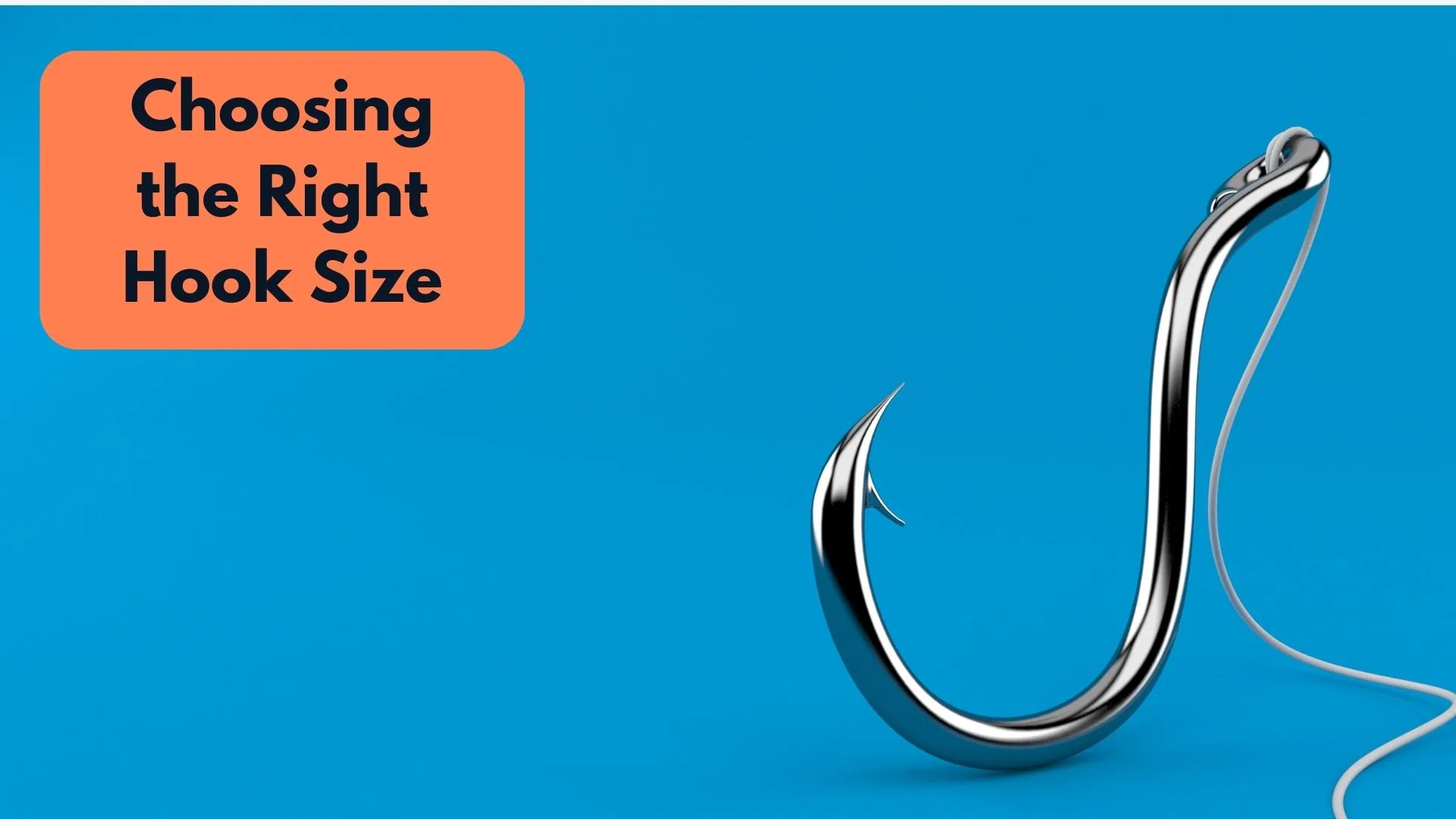 The Complete Guide to Fishing Hook Sizes