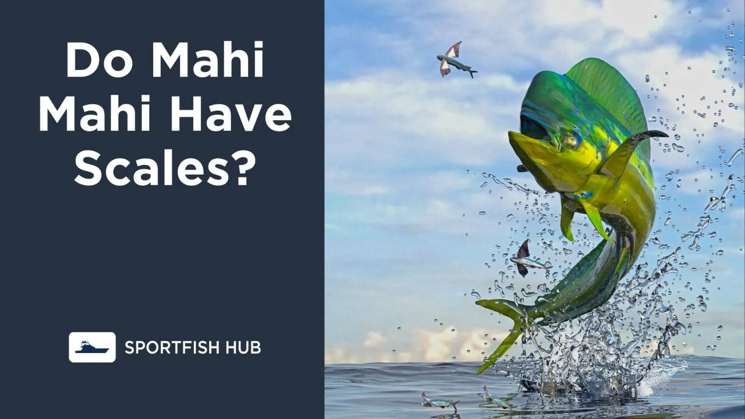 Do Mahi Mahi Have Scales