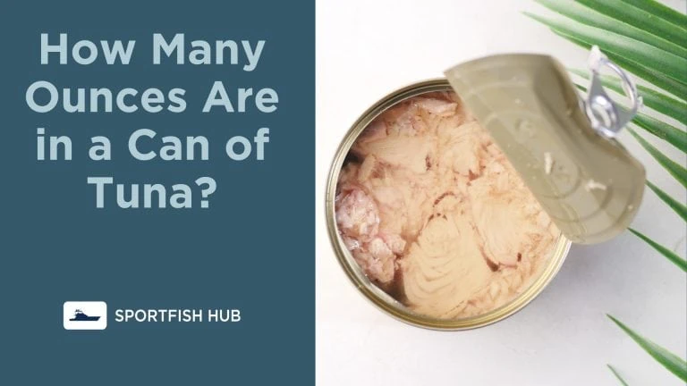 How Many Ounces Are in a Can of Tuna