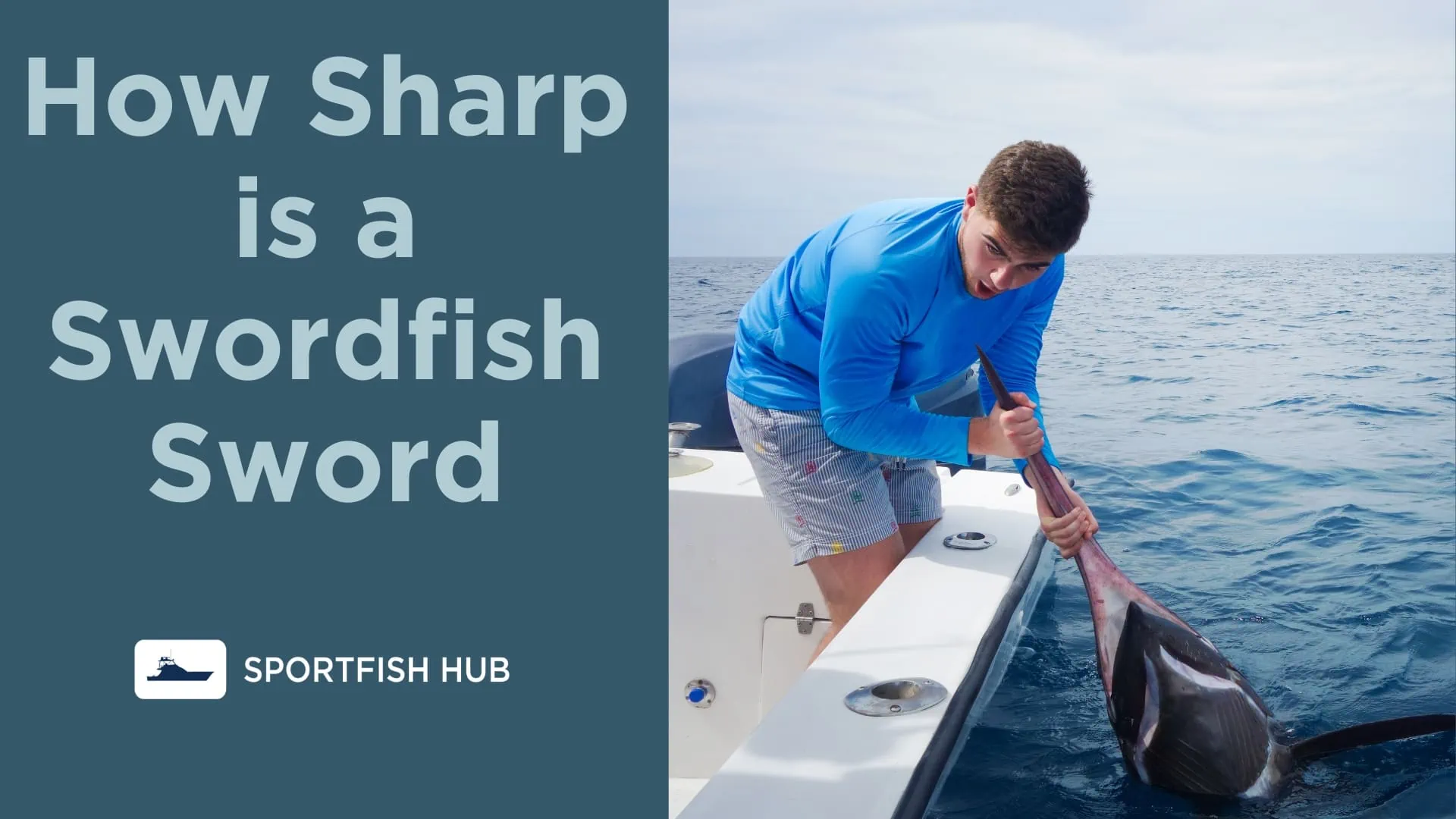 How Sharp is a Swordfish Sword