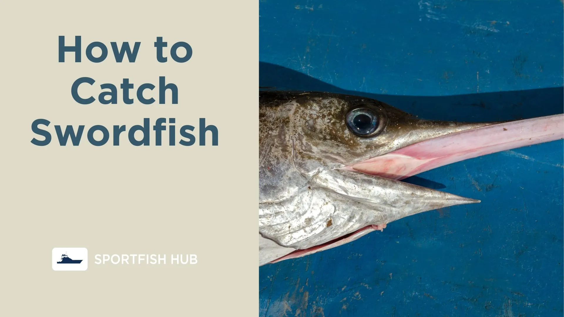 How to Catch Swordfish