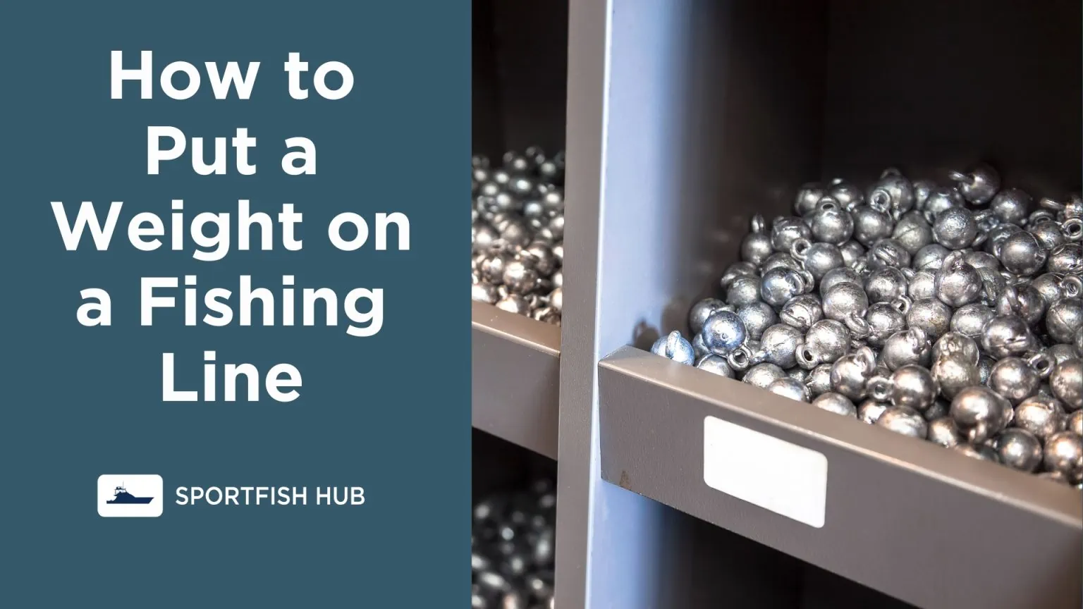 Fishing Sportfishhub