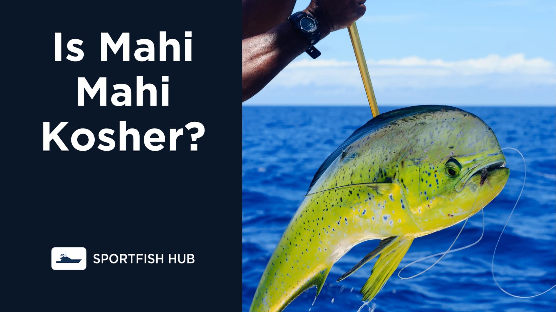 Is Mahi Mahi Kosher