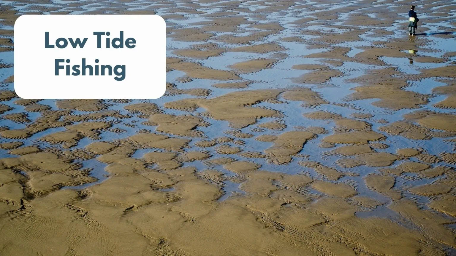 Is It Worth Fishing At Low Tide? How Tides Affect Fishing